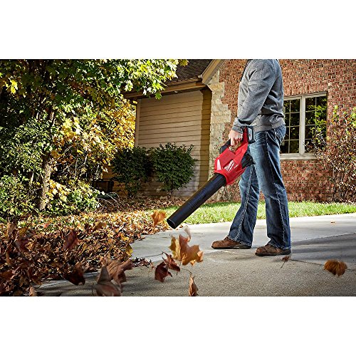 Lithium-Ion Brushless Cordless Handheld Hair Dryer