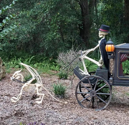 Large 4ft pterosaur skeleton, halloween decoration