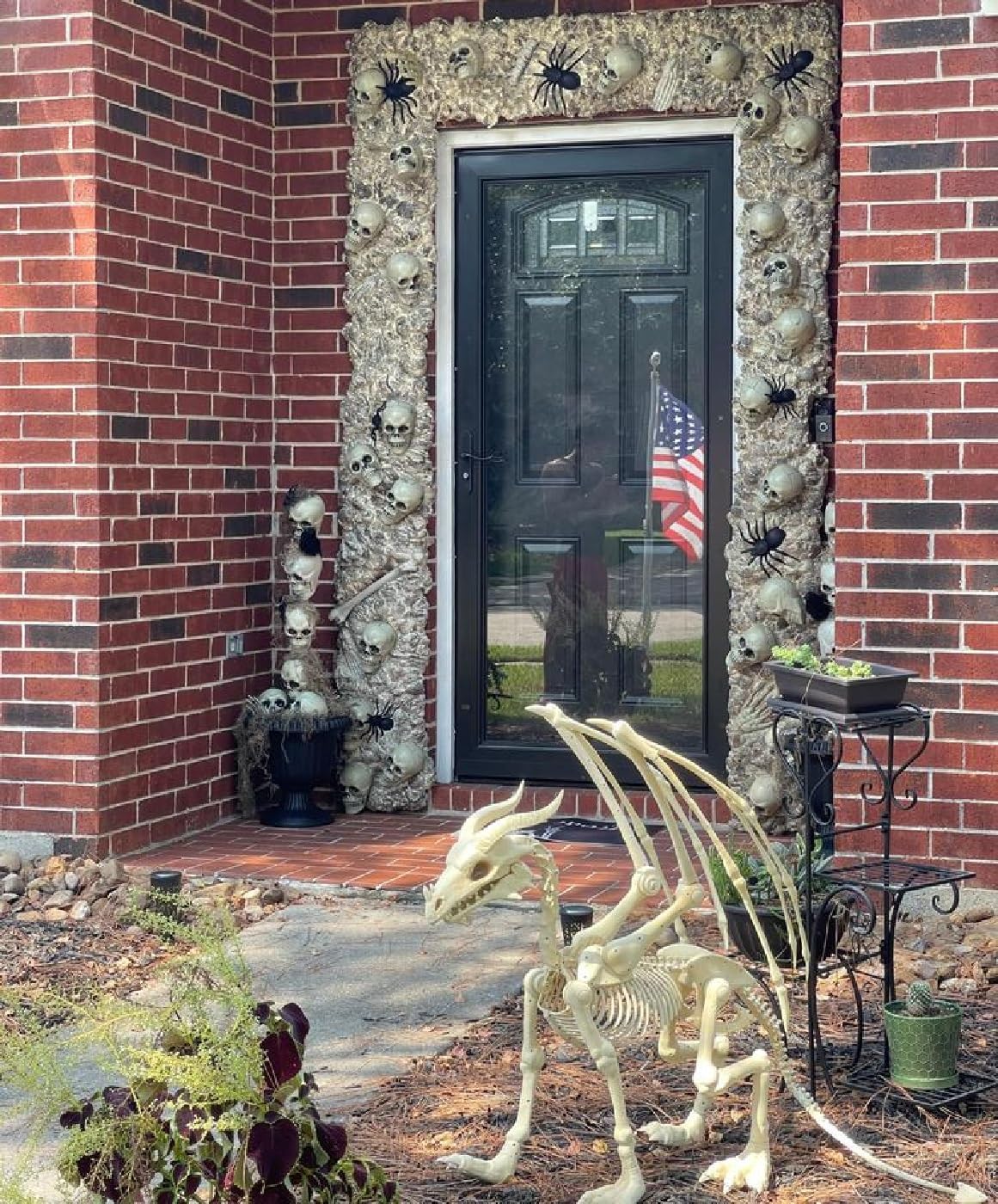 Large 4ft pterosaur skeleton, halloween decoration