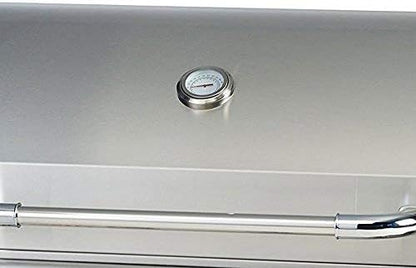 Natural Gas Outlaw Drop-In Grill Head in Stainless Steel
