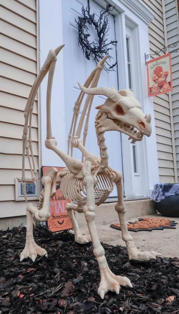 Large 4ft pterosaur skeleton, halloween decoration