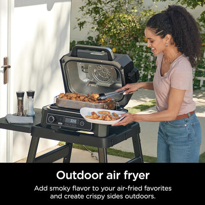 7-in-1 Grill & Smoker with Thermometer, Air Fryer, BBQ, Bake, Roast, Broil - Portable Electric Outdoor Grill, Grey